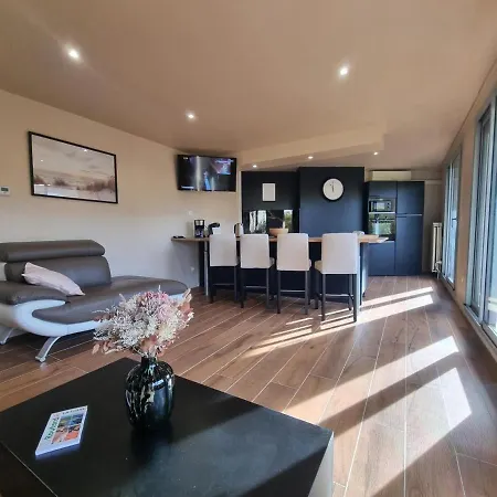 Apartment Moderne Avec Balcon, Parking Prive Et Espace Bien-etre A - Fr-1-496-269